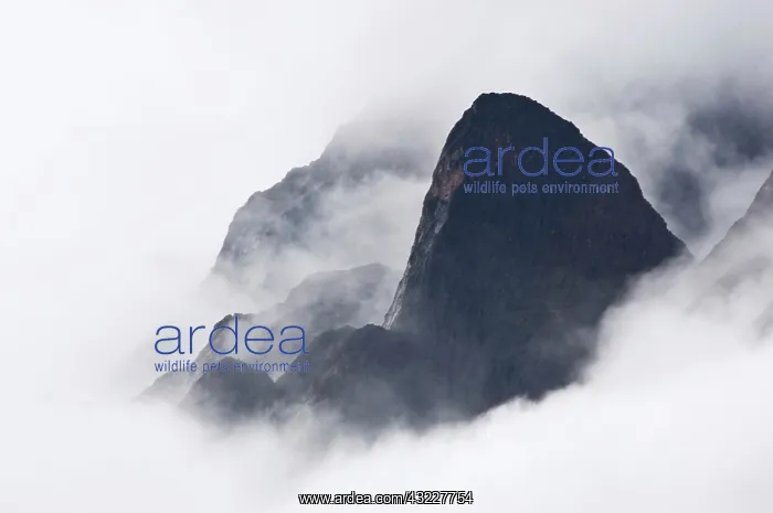 : Mountains in fog, Prince Christian Sound : Mountains in fog, Prince Christian Sound