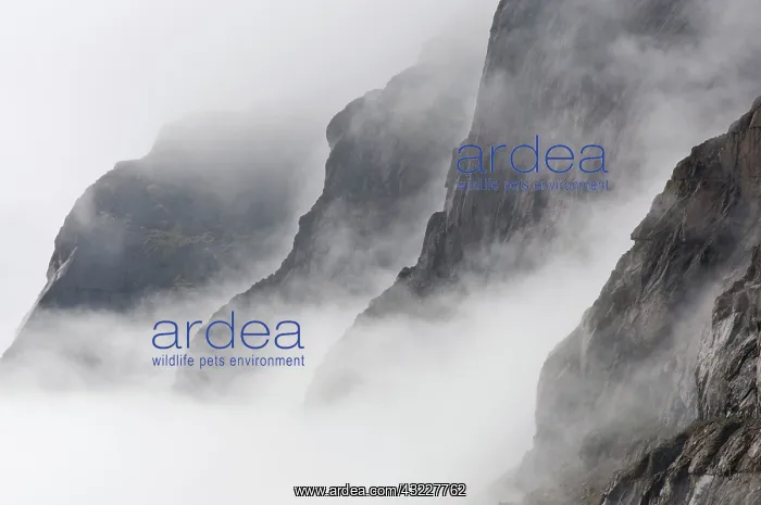 : Mountains in fog, Prince Christian Sound : Mountains in fog, Prince Christian Sound