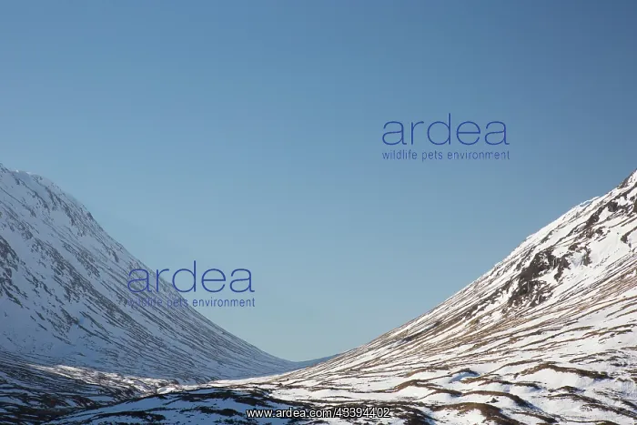  : Mountains Glen Coe