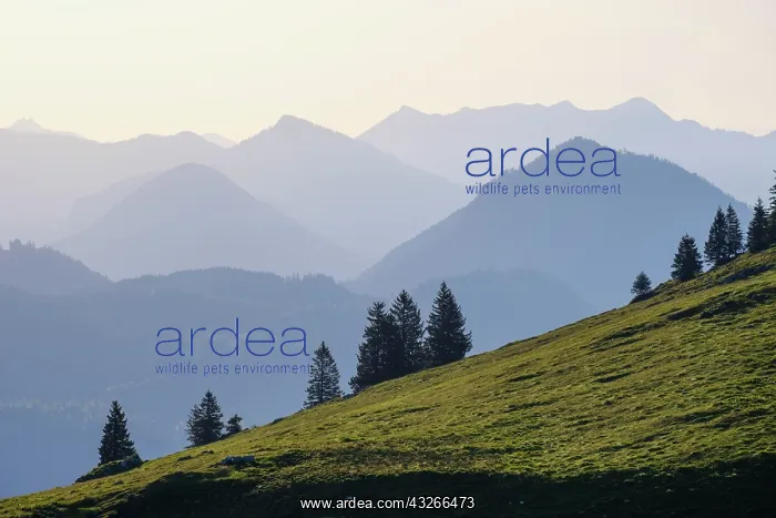 : Mountains in haze, at Sudelfeld, near Bayrischzell : Mountains in haze, at Sudelfeld, near Bayrischzell