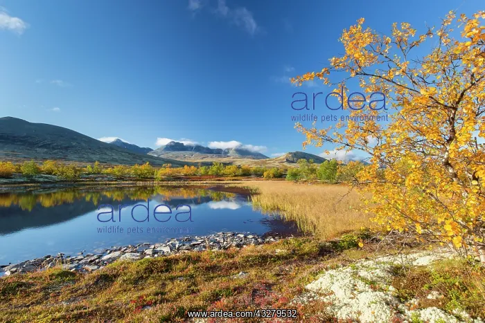: Mountains Hogronden and Digerronden mirrored in a lake at Do : Mountains Hogronden and Digerronden mirrored in a lake at Do