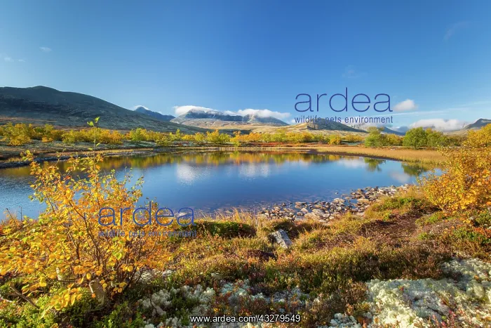 : Mountains Hogronden and Digerronden mirrored in a lake at Do : Mountains Hogronden and Digerronden mirrored in a lake at Do