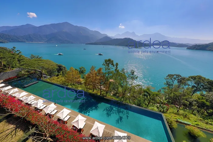  : Mountains and hotel swimming pool at Sun Moon