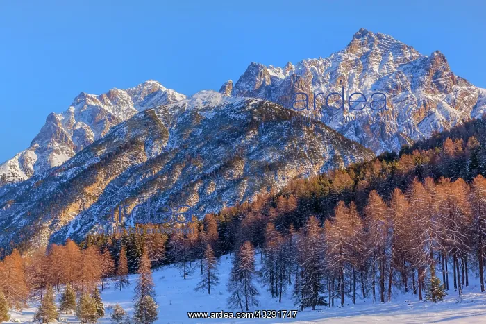 : Mountains Lai Nair - snow covered mountainscape with peaks o : Mountains Lai Nair - snow covered mountainscape with peaks o