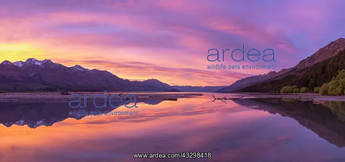 : Mountains with lake Wakatipu at sunrise, Glenorchy : Mountains with lake Wakatipu at sunrise, Glenorchy