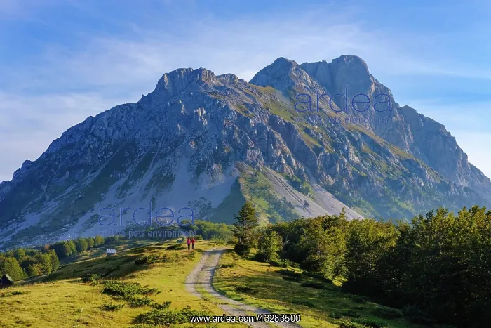  : Mountains Marin krs and Kom Vasojevici, Komovi Mountains