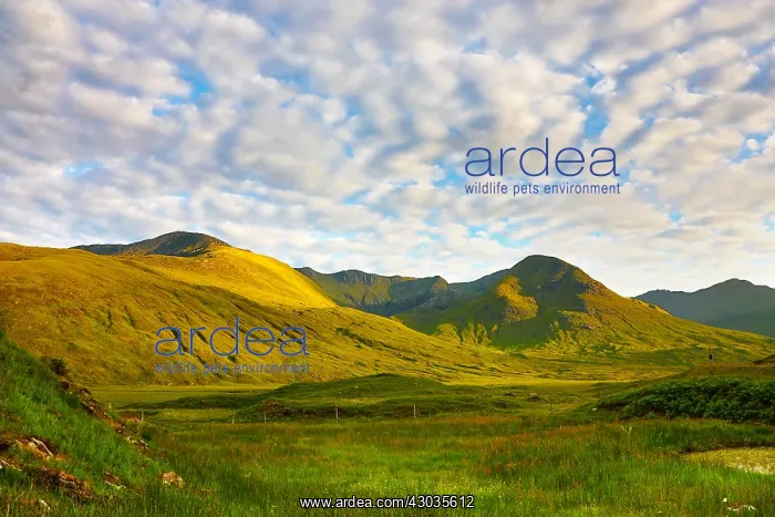  : Mountains near Glenmoriston in Glen Shiel, Skye
