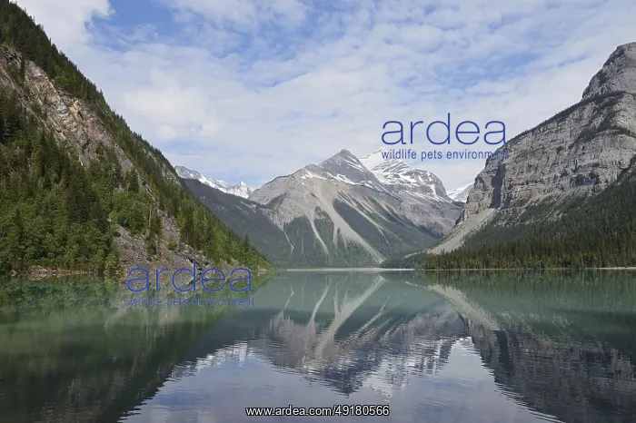 : Mountains reflected in Kinney Lake : Mountains reflected in Kinney Lake