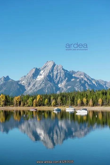 : Mountains reflected in the lake, Jackson Lake, sailing : Mountains reflected in the lake, Jackson Lake, sailing