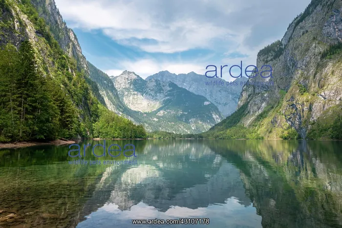 : Mountains are reflected in the lake, Obersee, mountain : Mountains are reflected in the lake, Obersee, mountain