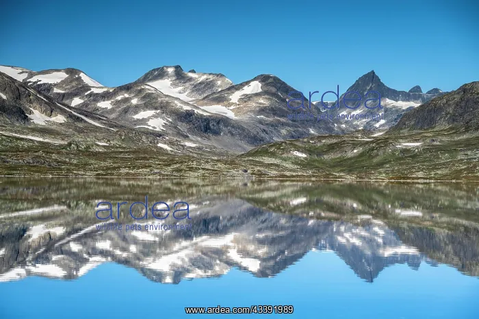 : Mountains reflected in Lake Tyin, Jotunheimen National : Mountains reflected in Lake Tyin, Jotunheimen National