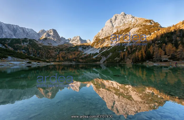 : Mountains are reflected in the Seebensee, Sonnenspitze : Mountains are reflected in the Seebensee, Sonnenspitze