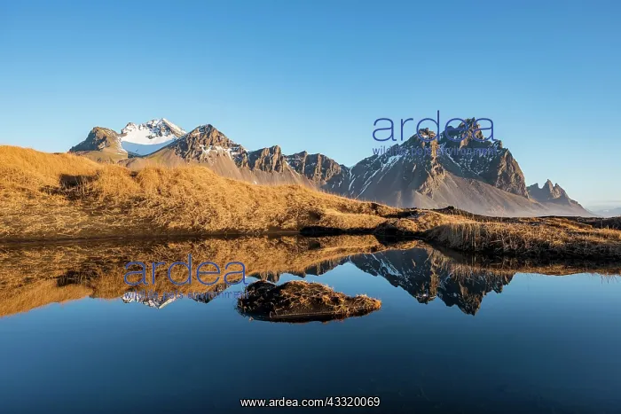 : Mountains are reflected in a small lake, overgrown : Mountains are reflected in a small lake, overgrown