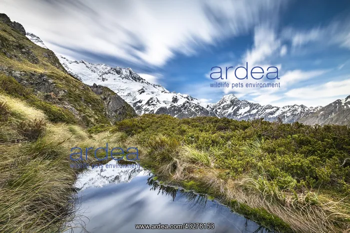 : Mountains reflected in small mountain lake, Sealy : Mountains reflected in small mountain lake, Sealy