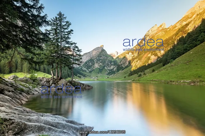: Mountains reflected at sunrise in Lake Seealpsee : Mountains reflected at sunrise in Lake Seealpsee