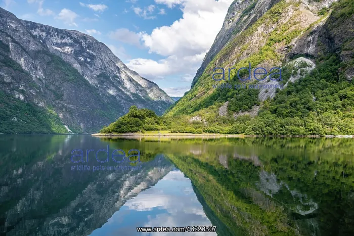  : Mountains reflected in the water, Naeroyfjord, Aurland