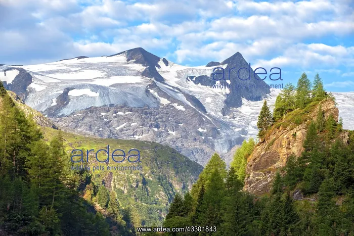  : Mountains Schwarze Wand and the Hohe Zaun in the