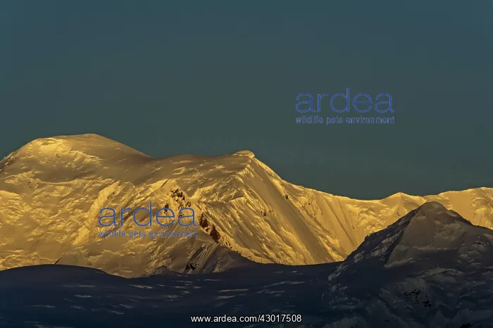  : Mountains snow capped at dawn