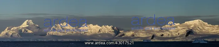  : Mountains snow capped at dawn