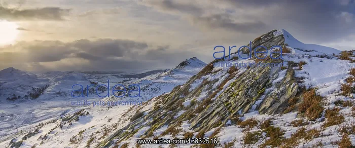  : Mountains with snow, Glen Doe, near Fort Augustus