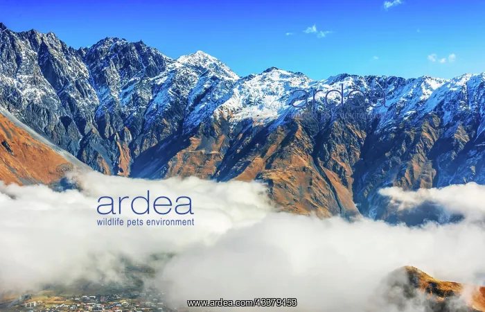 : Mountains over Stepantsminda formerly Kazbegi in : Mountains over Stepantsminda formerly Kazbegi in
