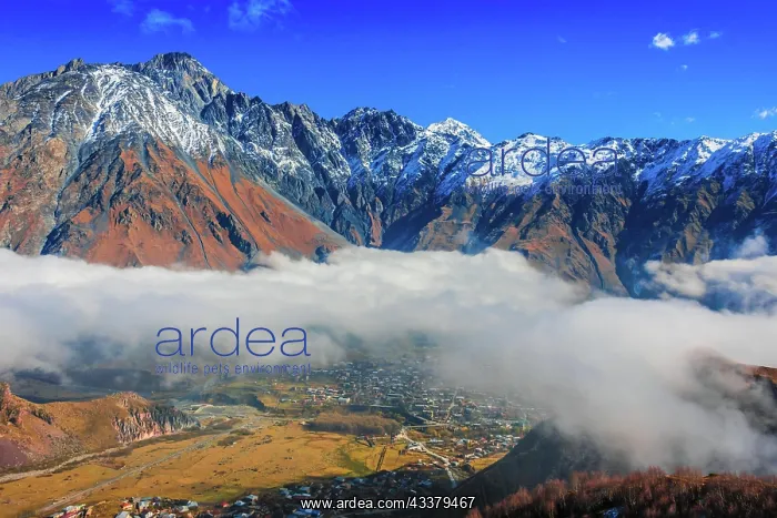 : Mountains over Stepantsminda formerly Kazbegi in : Mountains over Stepantsminda formerly Kazbegi in