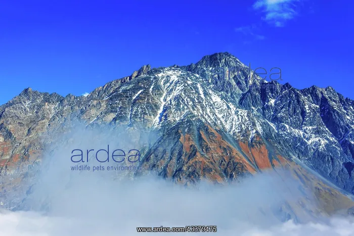 : Mountains over Stepantsminda formerly Kazbegi in : Mountains over Stepantsminda formerly Kazbegi in