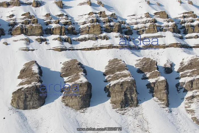 : Mountains with structures of organic carbon and : Mountains with structures of organic carbon and