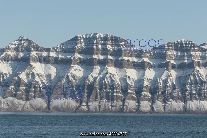 : Mountains with structures of organic carbon and : Mountains with structures of organic carbon and