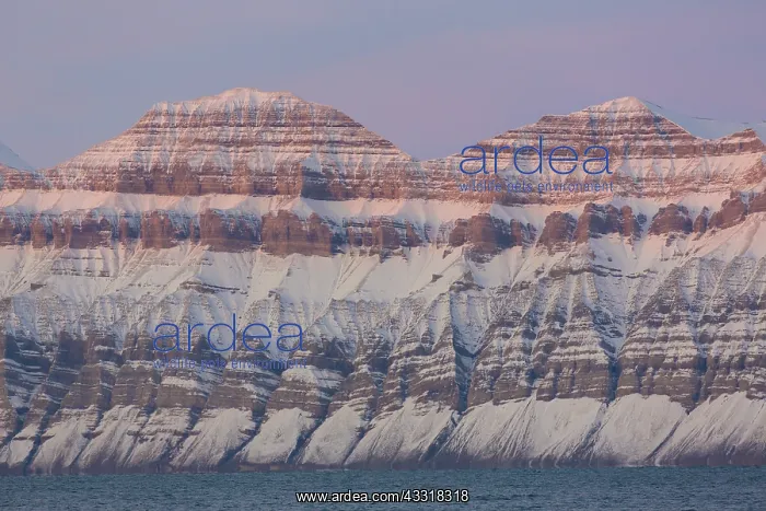 : Mountains with structures of organic carbon and : Mountains with structures of organic carbon and