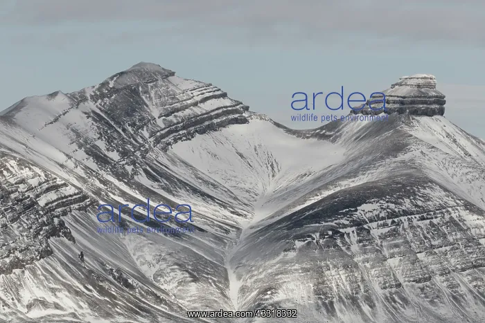 : Mountains with structures of organic carbon and : Mountains with structures of organic carbon and