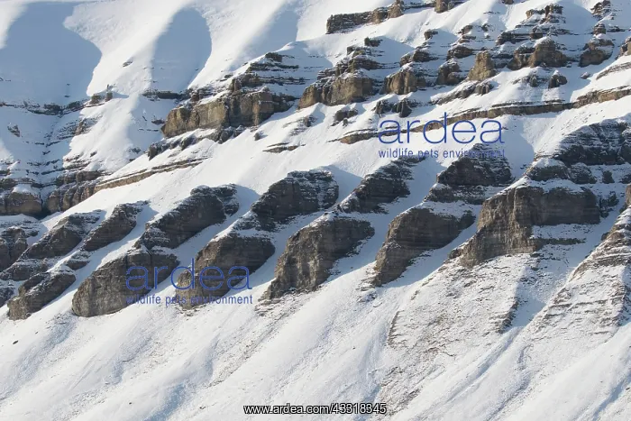 : Mountains with structures of organic carbon and : Mountains with structures of organic carbon and