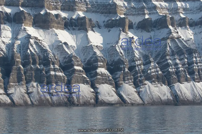 : Mountains with structures of organic carbon and : Mountains with structures of organic carbon and