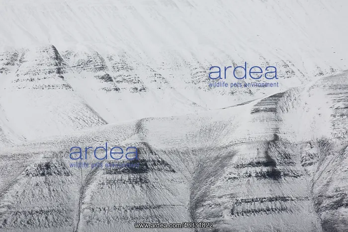 : Mountains with structures of organic carbon and : Mountains with structures of organic carbon and