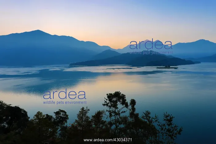  : Mountains at Sun Moon Lake at sunrise, Yuchi