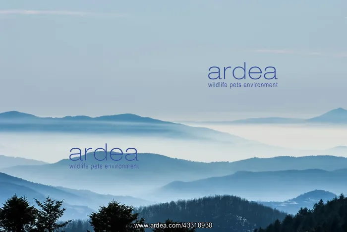  : Mountains - in winter mist