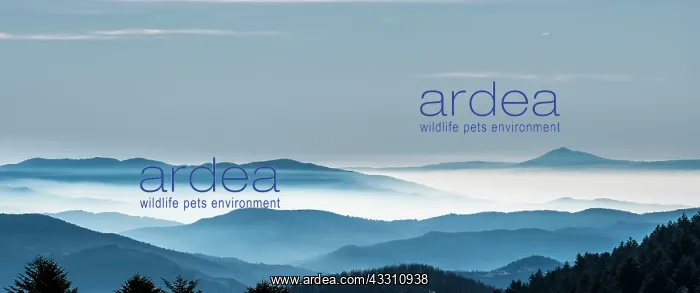: Mountains - in winter mist : Mountains - in winter mist