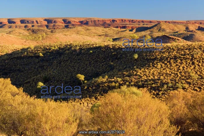  : Mountainscape - bush and grass-covered hills and