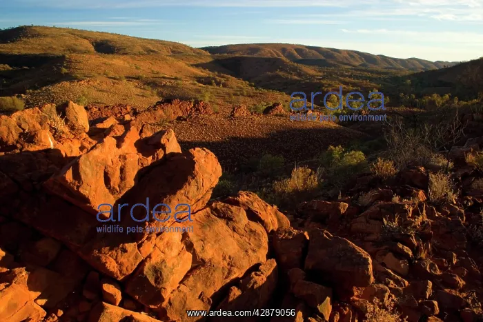 : Mountainscape - Bush and grass-covered hills and : Mountainscape - Bush and grass-covered hills and