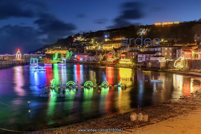 : Mousehole - Christmas Lights - Cornwall - UK : Mousehole - Christmas Lights - Cornwall - UK