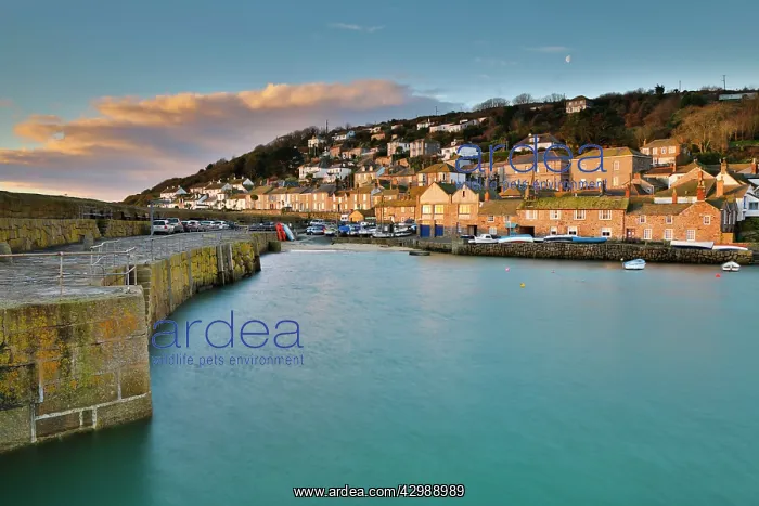 : Mousehole - Harbour at sunrise : Mousehole - Harbour at sunrise