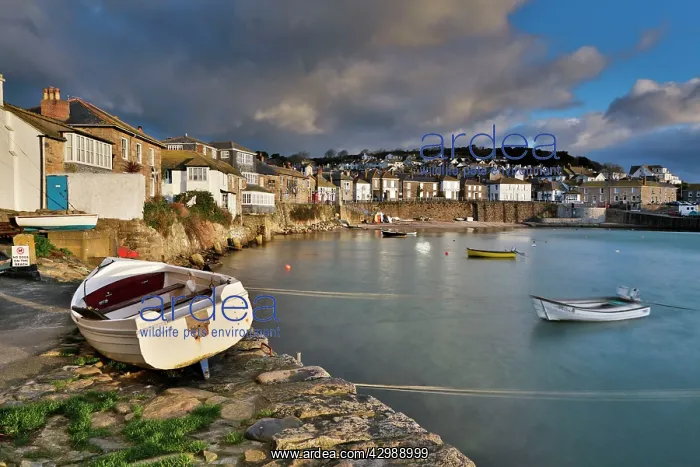 : Mousehole - Harbour at sunrise : Mousehole - Harbour at sunrise