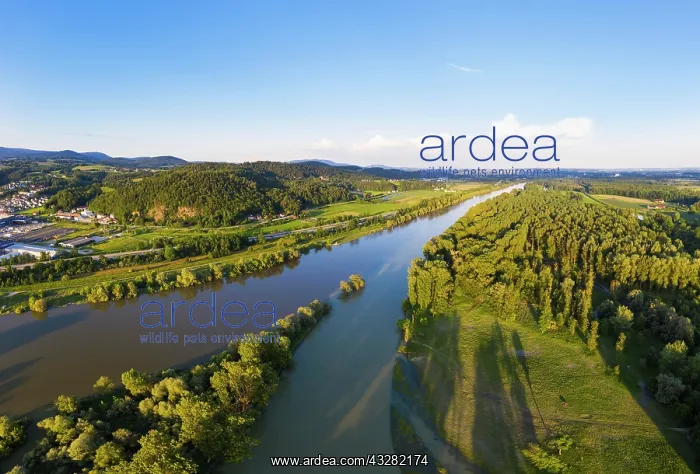 : Mouth of the river Isar, right, into the Danube : Mouth of the river Isar, right, into the Danube