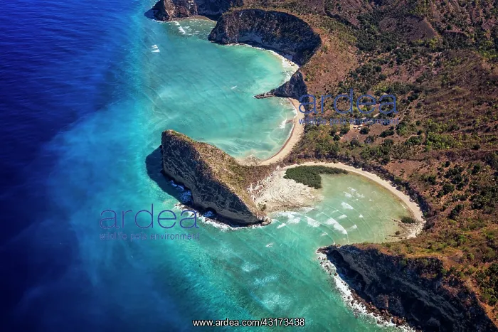 : Moya Beach, Petite Terre, Mayotte, Indian Ocean : Moya Beach, Petite Terre, Mayotte, Indian Ocean