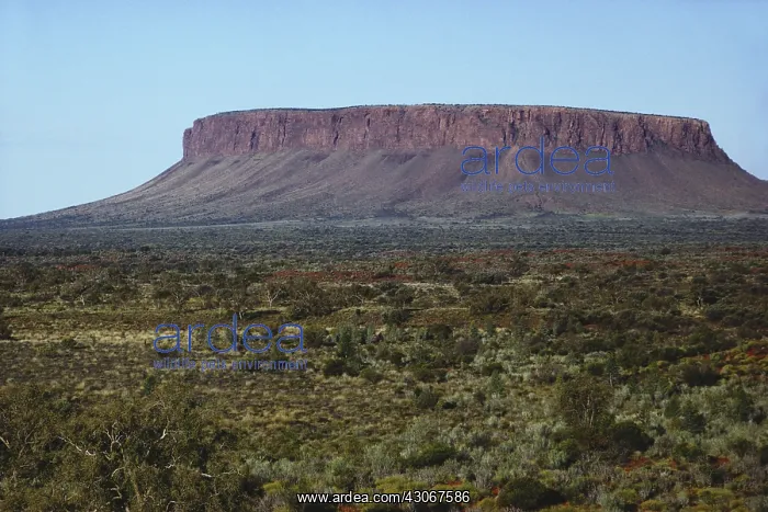  : Mt. Connor, Australia