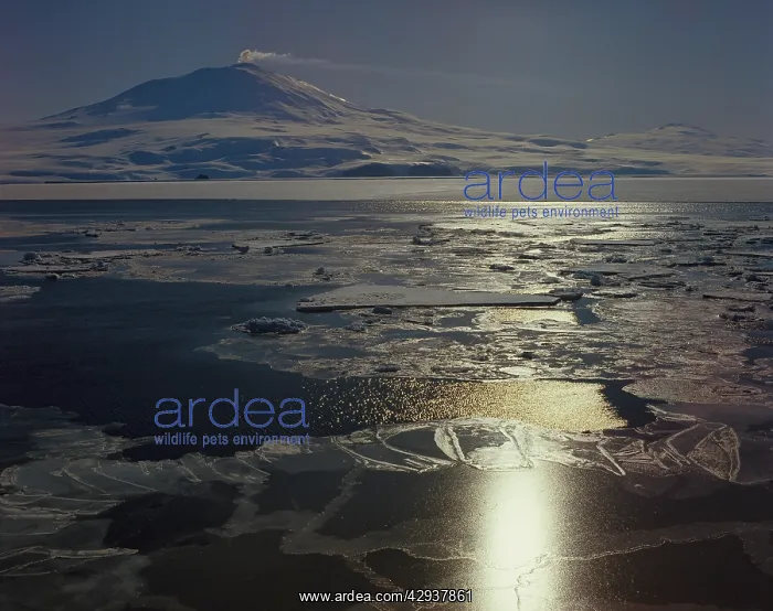 : Mt Erebus (3794 m) - active volcano seen across : Mt Erebus (3794 m) - active volcano seen across