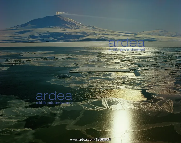 : Mt Erebus (3794 m) active volcano seen across sea ice : Mt Erebus (3794 m) active volcano seen across sea ice