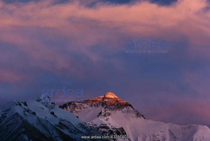 : Mt. Everest, Tibet, China : Mt. Everest, Tibet, China