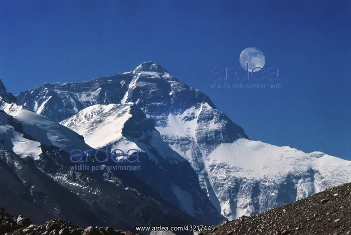 : Mt. Everest, Tibet, China : Mt. Everest, Tibet, China