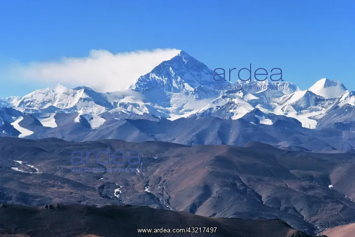: Mt. Everest, Tibet, China : Mt. Everest, Tibet, China